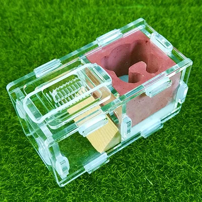 Милый мини пластырь Муравьиное гнездо 2 комнаты искусственный дом муравьиная