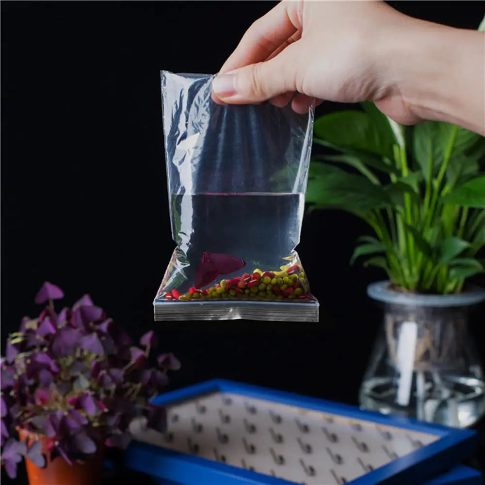 1000 2x3 /4*6cm Clear Reclosablel Zip Lock Poly Bag Transparent Jewelry Plastic Small Storage | Дом и сад