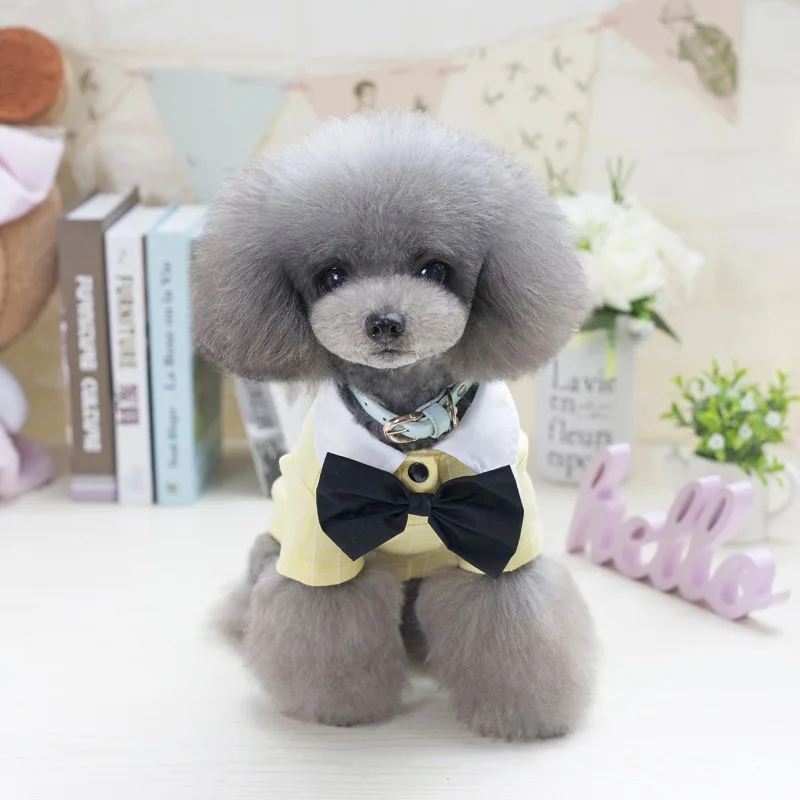 Летняя футболка для домашнего питомца Милая с рисунком усов щенков собак кошек