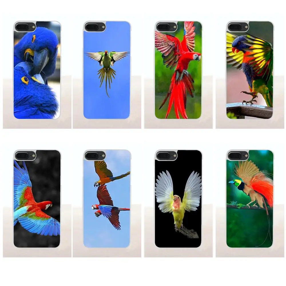 Bixedx Blue Ringneck Parrot для Galaxy Alpha Core Note 2 3 4 S2 A10 A20 A20E A30 A40 A50 A60 A70 M10 M20 M30 TPU Mobile Shell|Бамперы| |