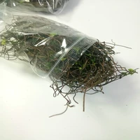 200mlbag diorama leaves scale new bush in ho train layout design military model building landscape
