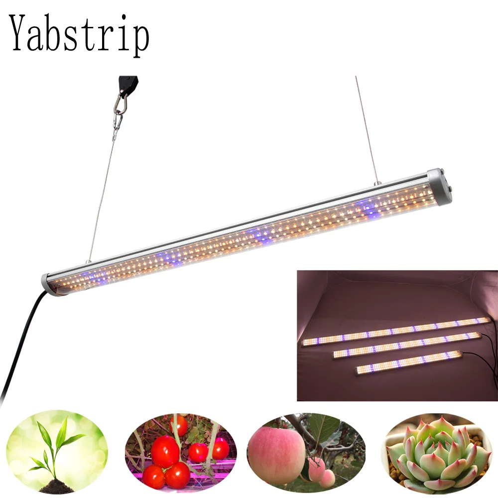 3 Year Warranty LED grow light strip full spectrum fitolampy for indoor seedling Vegetable Greenhouse Grow Tent phyto lamp