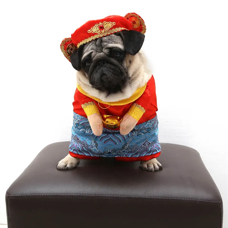 Забавная Одежда для собак одежда маленьких куртки щенков наряды кошек костюмы на