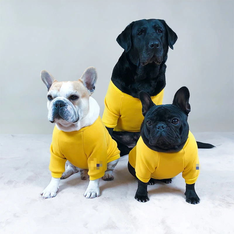 [MPK Dog Wear] свитер чемпиона для полных собак, подходит для английских бульдогов, больших грудных собак, грудь от 70 см до 85 см