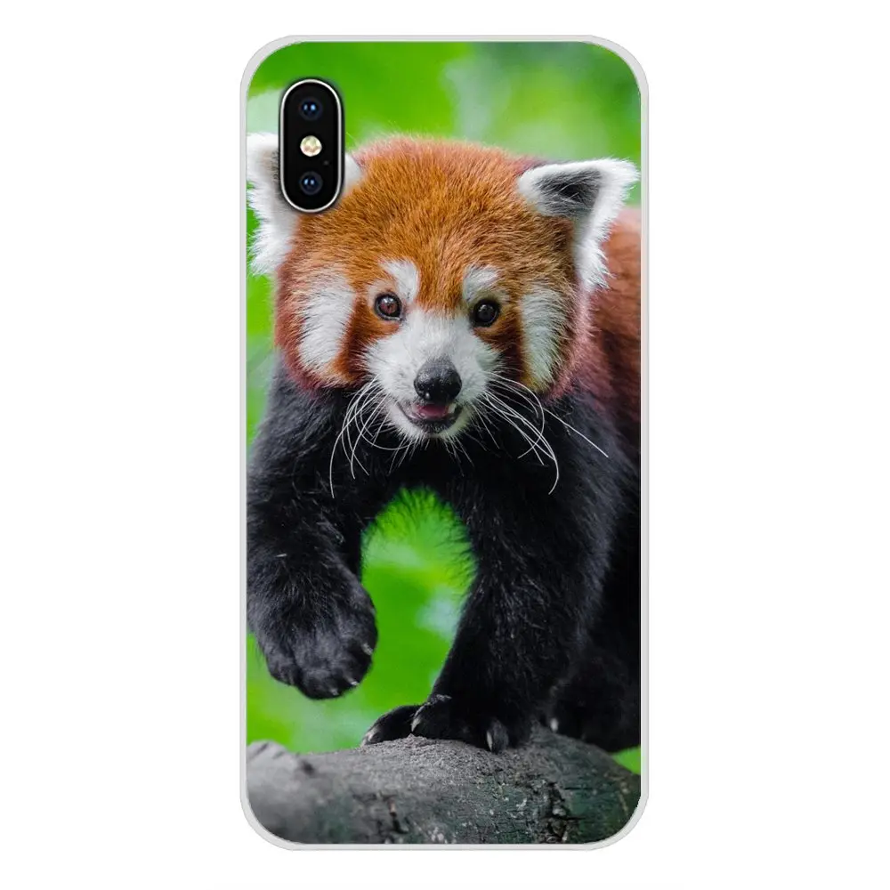 Red pandas Art Accessories Phone Cases Covers For Xiaomi Mi6 A1 5X 6X Redmi Note 5 5A 4X 4A 4 3 Plus Pro pocophone F1 | Мобильные