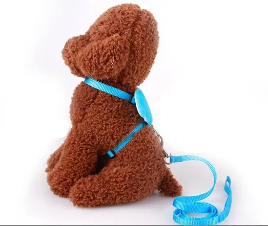 2021 комплекты поводков для собак нейлоновые поводки с милым ангелом кошек летняя