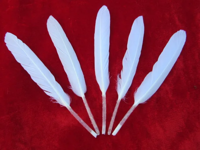 Новый бренд! 30 шт./лот красивые белого утиного пера Размер 10-15 см/4-6 дюймов