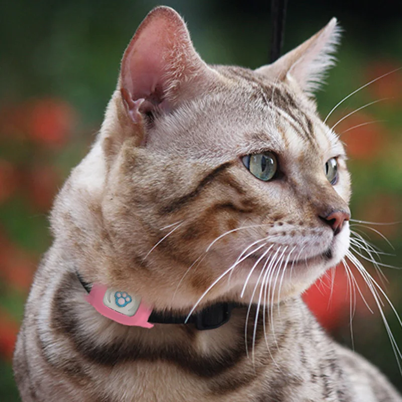 Мини Водонепроницаемый Pet gps GSM GPRS трекер локатор в режиме реального времени