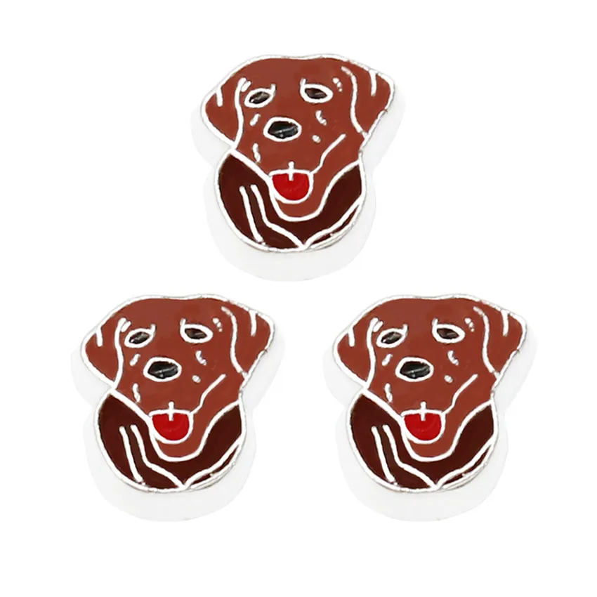 10 шт./лот Dod Paw apple Pine apple Chips очаровательные плавающие амулеты для поплавка памяти живые стеклянные медальоны ювелирные изделия аксессуары - Цвет: FC1772
