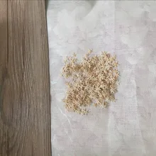 HappyKiss натуральная морская звезда Морская раковина раковины Природные морские звезды орнамент аксессуары свадебное украшение
