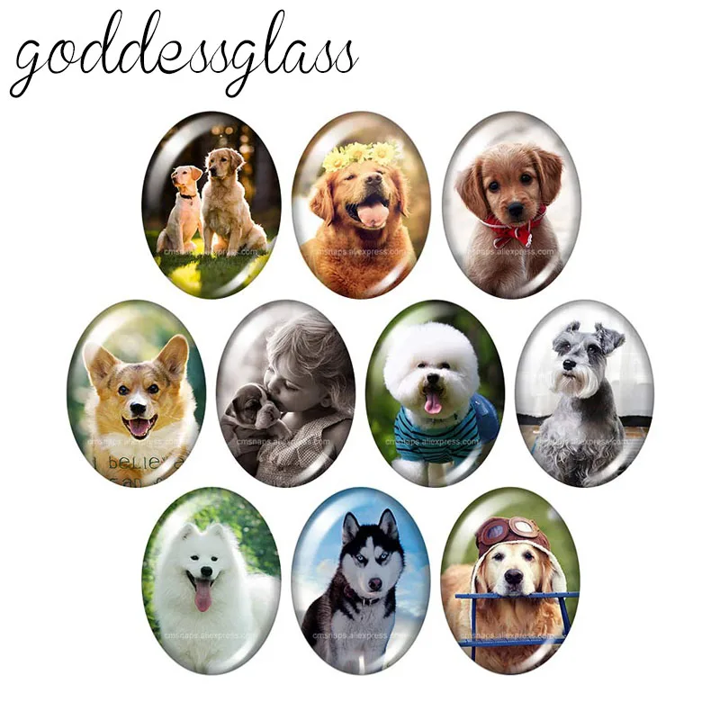 Lovely Dogs Love Pet animals 10pcs mixed 13x18mm/18x25mm/30x40mm Oval photo glass cabochon demo flat back Making findings TB0027