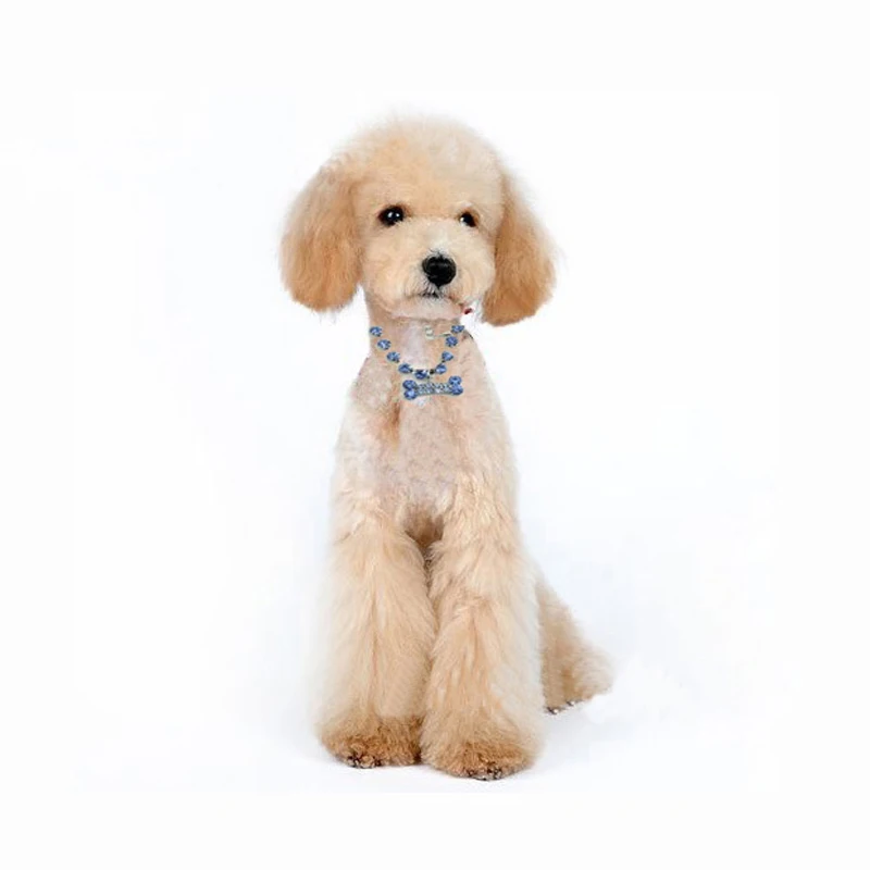 Модные ювелирные изделия ошейник для щенка собаки кошки дизайнерское украшение