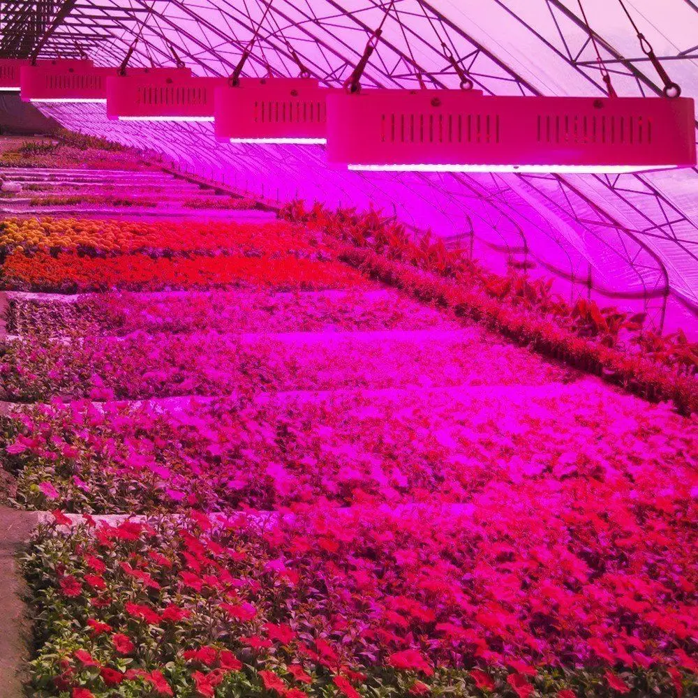 Лампа светодиодная полного спектра для выращивания растений 300 Вт 1 шт.|led plant grow