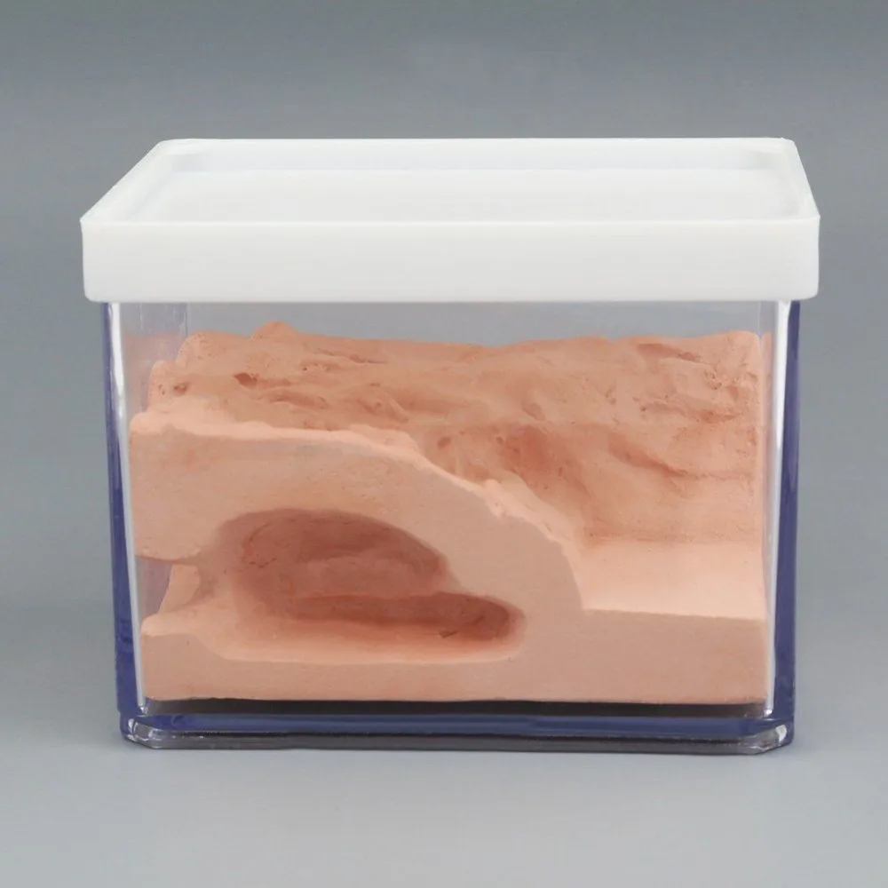 Муравьиное гнездо корпус муравьиная ферма коробка Formicarium Дисплей Чехол для маленьких муравьиная колония био
