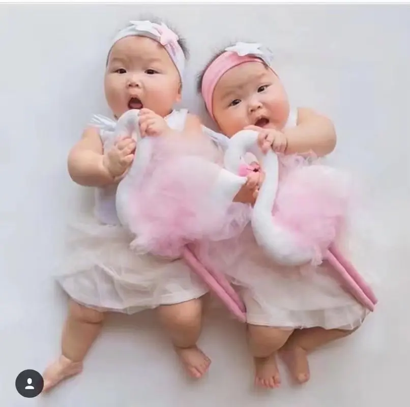 INS Long-legged gauze Swan doll Children's dolls stuffed animals toys for children cute plush flamingo Birthday gift | Игрушки и