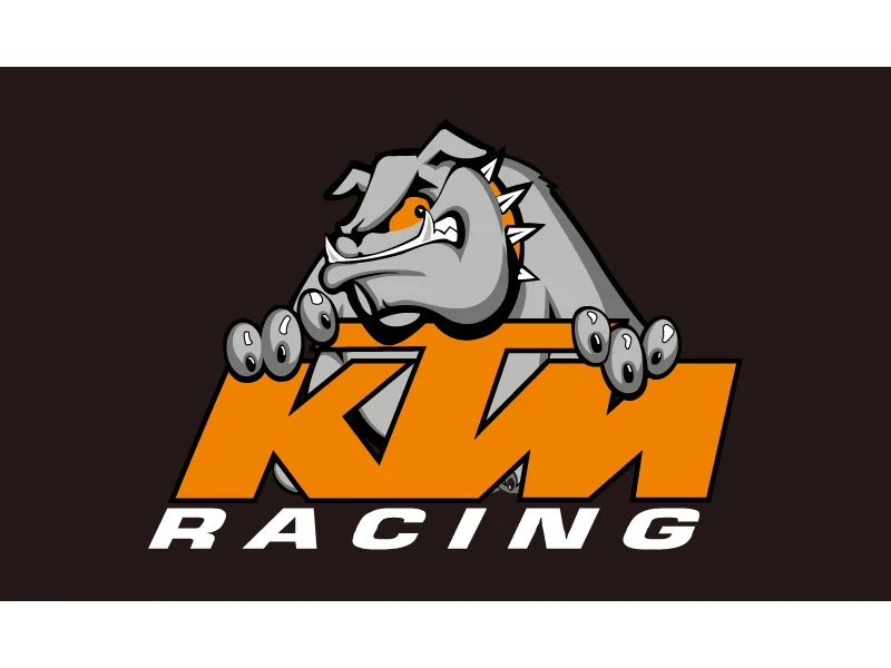 KTM09154 Free shipping 90*150cm 60*90cm 40*60cm 3x5ft Flag For KTM For Car Racing Team Banner - Цвет: KTM09154