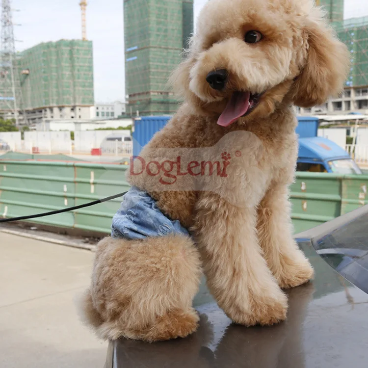 Модный джинсовый костюм для собаки с дырками физиологический пояс менструальные