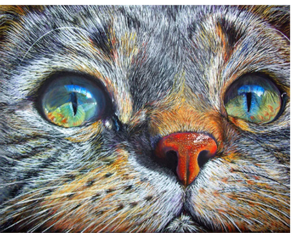Кошка DIY Алмазная картина Кошка Животное dimaond вышивка полная дрель кошка голова алмазная живопись мозаика полная круглая дрель кошачья голова
