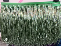 green handmade 15cm wide beaded fringe tassel trimming5 5yard about 270 beads threadsyard sgtm2