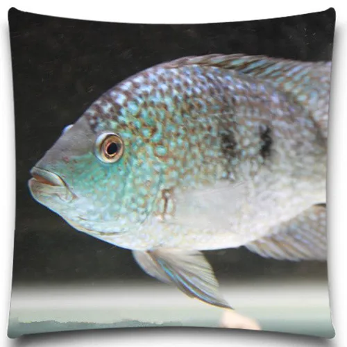 Все виды красочных фоточехлов из хлопка и полиэстера декоративные квадратные