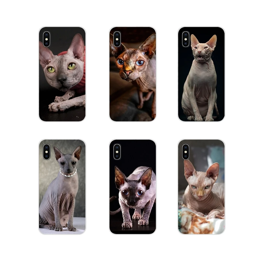 Аксессуары чехлы для телефонов Apple iPhone X XR XS MAX 4 4S 5 5S 5C SE 6 6S 7 8 Plus ipod touch sphynx cat