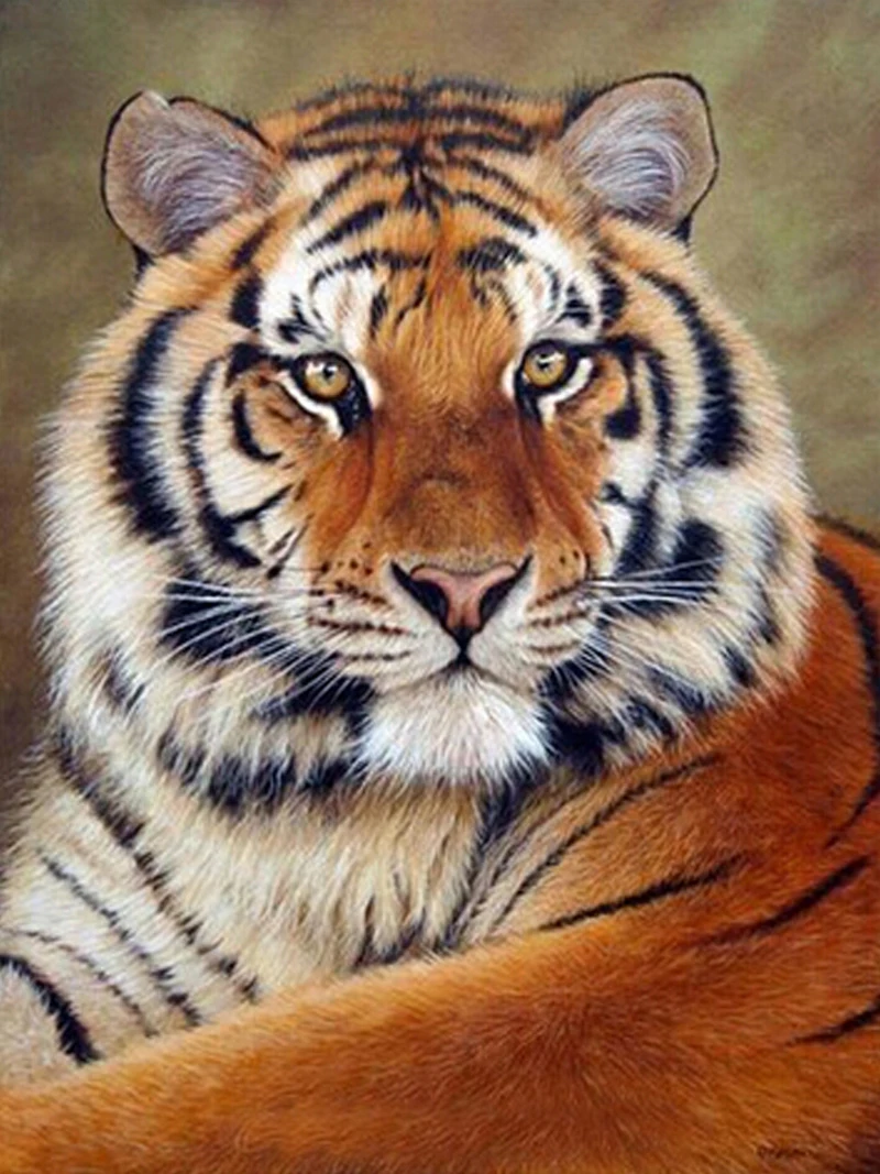 5d Diy Алмазная картина с животным тигром вышивка крестиком квадратные Стразы