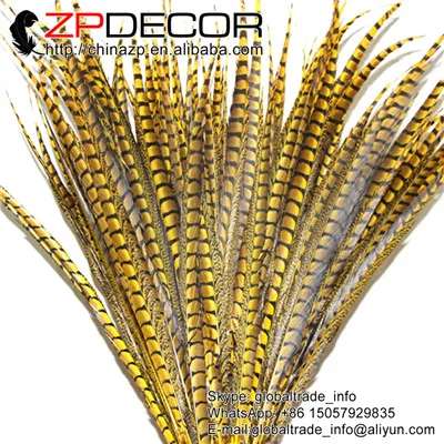 Новинка! zpdecor 100-110 см 20 шт./лот Премиум качество окрашенные красочные леди Амхерст перьями фазана для карнавала Декор Перья - Цвет: gold