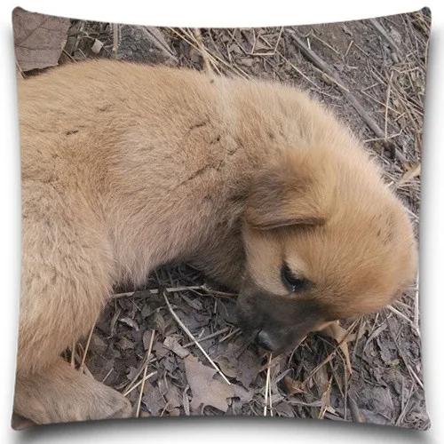 Black Labrador Excellent Quality Soft Cushion Covers Christmas Halloween Cotton Polyester Pillow Cases 5 size 9 style | Дом и сад