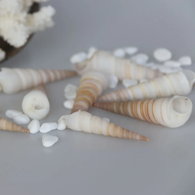 Бесплатная доставка (50 шт./лот) башенная винтовая оболочка натуральная и раковина