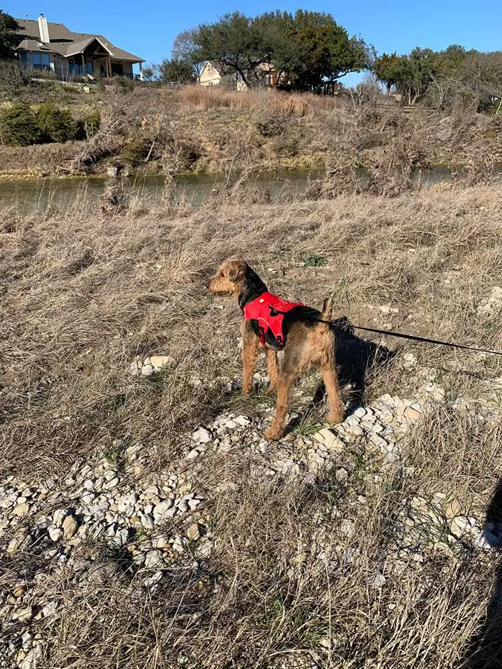 RUFFWEAR веб-мастер жгут