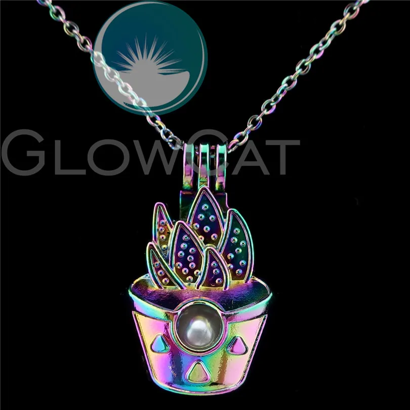 C821 радуга цвет кактус горшечные растения бусины клетка духи эфирное масло