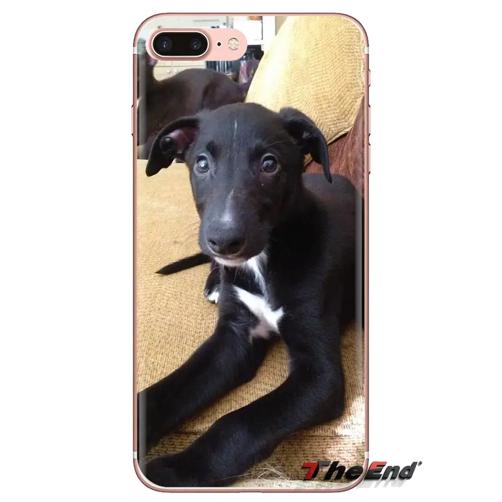 galgo greyhound puppy Dog Pets For Xiaomi Redmi 4A S2 Note 3 3S 4 4X 5 Plus 6 7 6A Pro Pocophone F1 TPU Transparent Cases Covers |