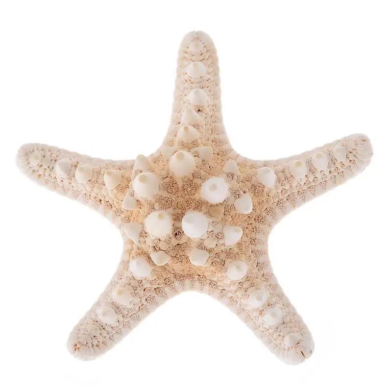 Элегантные настоящие зажимы для волос в форме морской звезды заколки пляжа