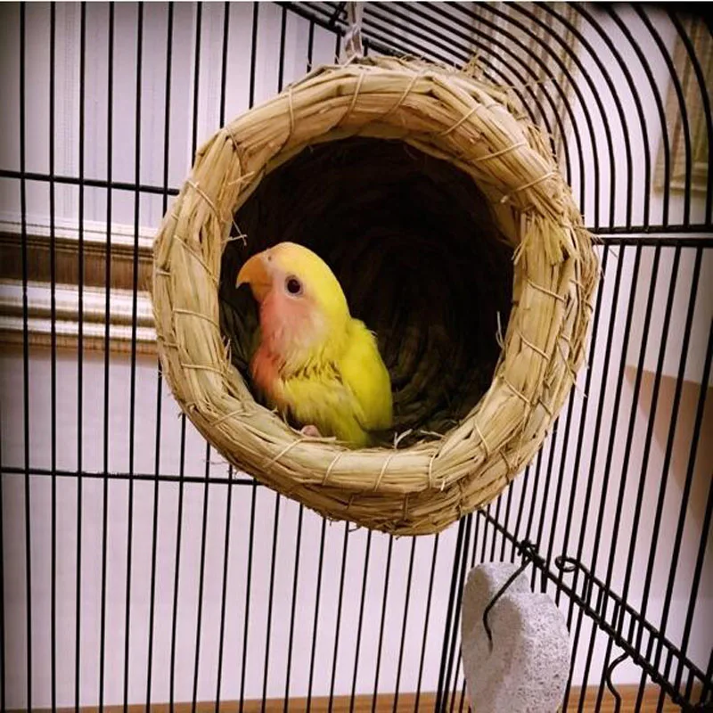 домик для попугаев розелла. гнездо для волнистых попугайчиков. как сделать гнездо для попугая своими руками. как сделать гнездо для попугая своими руками. гнездо для волнистых попугайчиков.