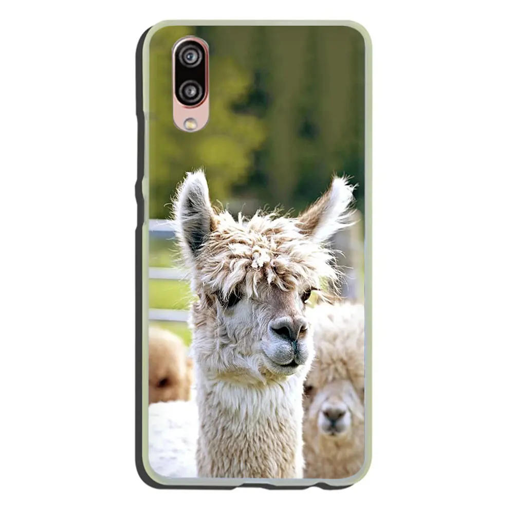 H9 Жесткий чехол для телефона Lama Llama Alpacas для huawei P30 P20 P8 P9 P10 Plus Lite Mini Pro smart - Цвет: H9