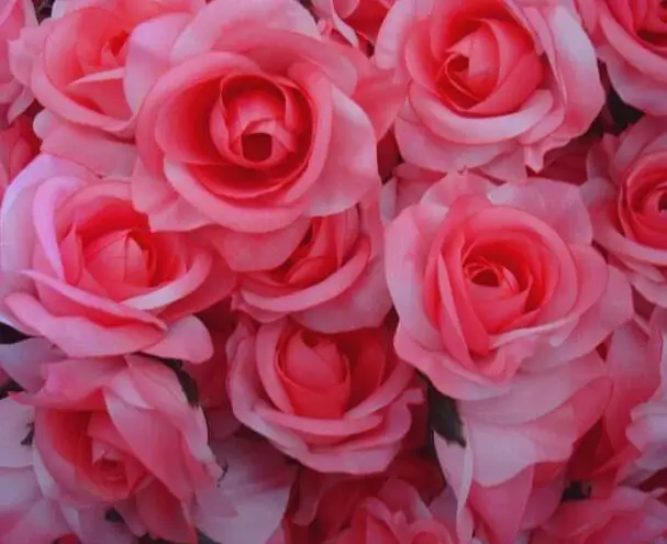 500 шт. декоративные цветы 7 8 см|decorative flowers|peony flowerartificial camellia |