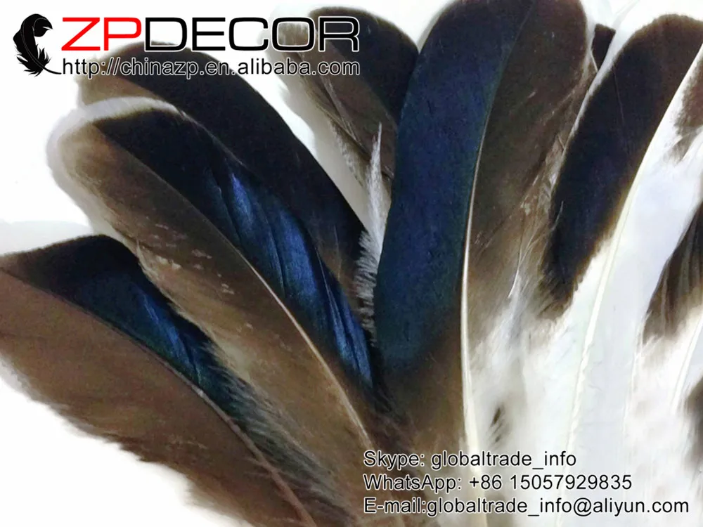 ZPDECOR 10-15 см 100 шт./лот красивый узор Радужный синий микс Кряква утка крыло оптовая