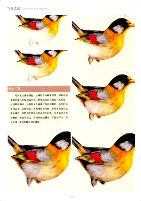 Китайский Цветной Карандаш для рисования птиц рисование животных