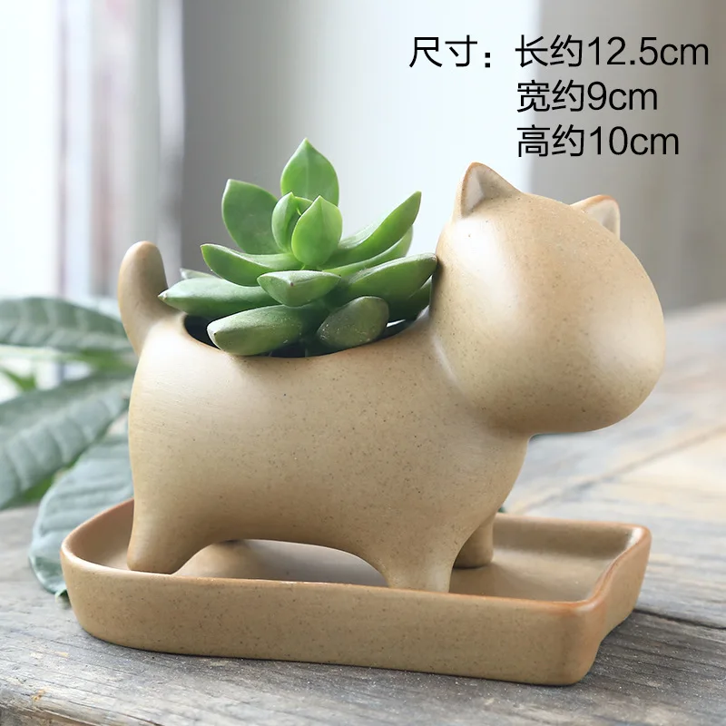 Керамический горшок для растений суккулентов керамики декоративный цветочный