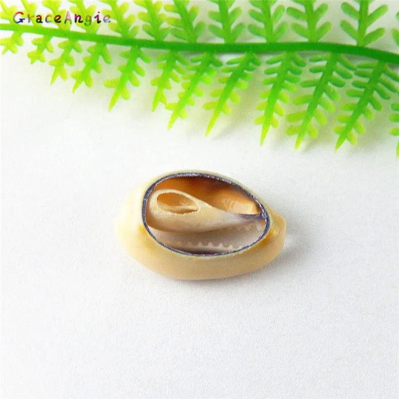 GraceAngie 20 шт./упак. натуральная ракушка Пляжная для путешествий загара маленькая