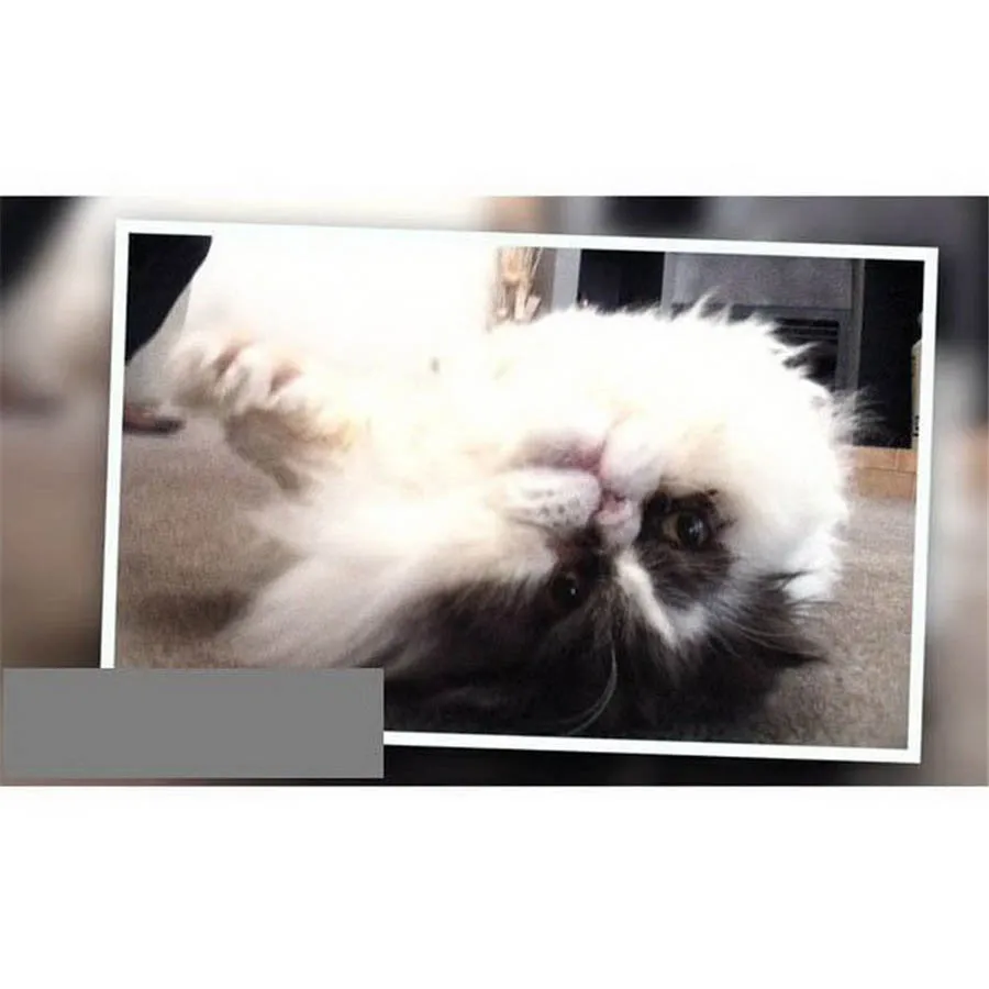 Новый объектив Periscope мини съемные чехлы для мобильного телефона с магнитной