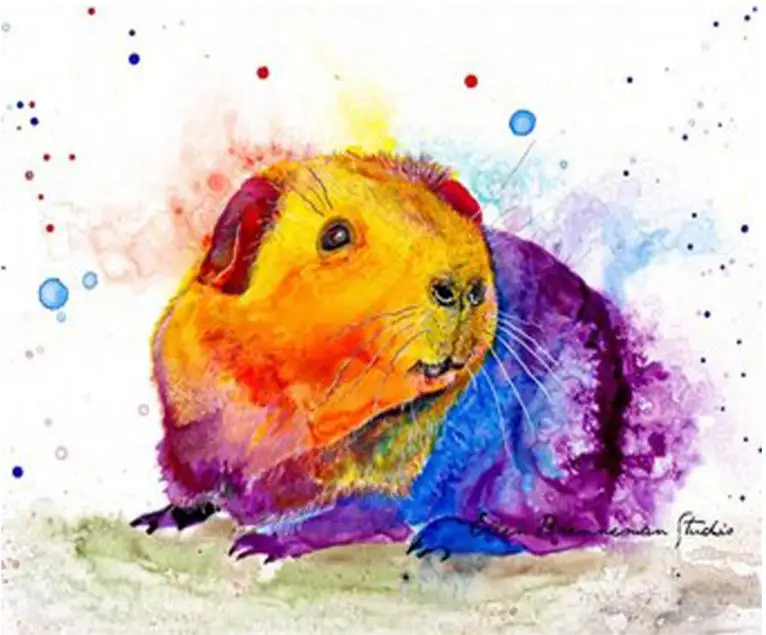 Алмазная живопись голова морской свинки мозаика фото крестиком животные иконки вышивка полная квадратная/круглые сверкающие кристаллы на показ.