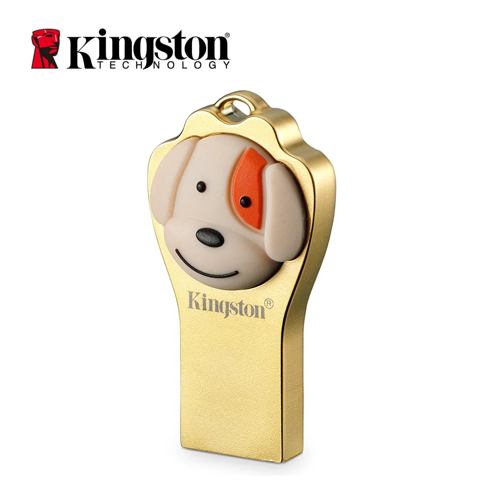 Kingston USB флэш диск Флешка 64 Гб Кле usb мультяшная карта памяти Ограниченная серия