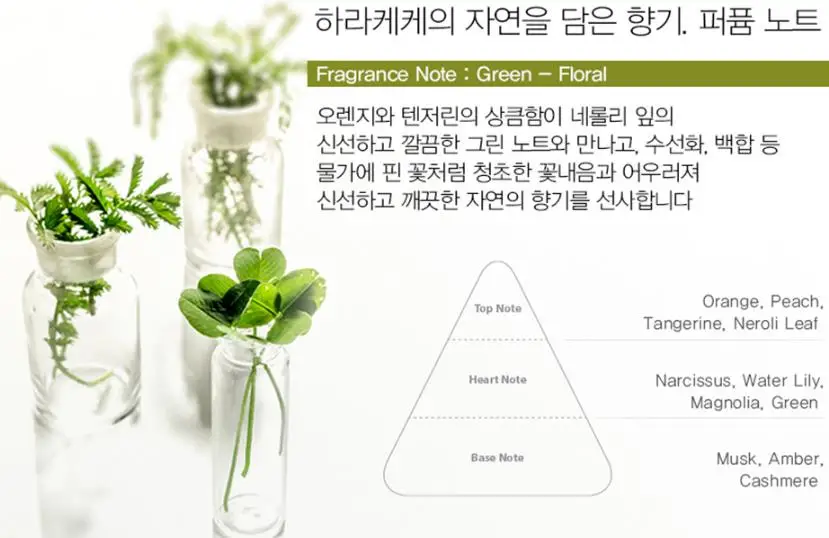 THE SAEM Urban Eco Harakeke пенка моющее средство 150 мл Очищающее средство для лица увлажняющий очищающий гель глубокое очищение сужение пор отбеливание