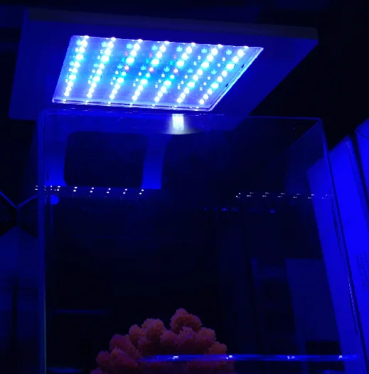 Морской морской коралловый SPS LPS риф аквариум светодиодный светильник мини