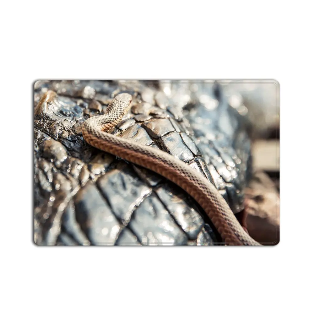 Memory Home змеи крокодиловая дверь для гостиной кухонный ковер напольный коврик