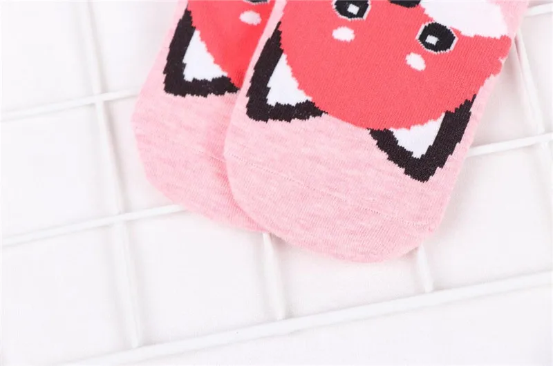 MYORED 5pairs woman short socks women's cotton cartoon animal for woman casual dress gift socks Calcetines de dibujos animados