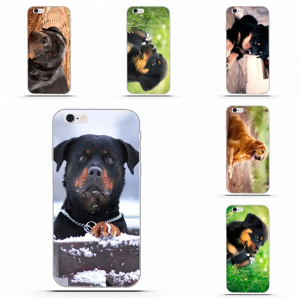 Чехол от бренда Wexoeq Rottweiler с изображением собаки чехол для Apple iPhone 4 5 5C 4S SE 6 6S 7 8 Plus X |