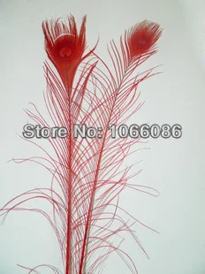 

Free Shipping! 100pcs/lot 25-30cm Red color Big peacock Eye Top quality peacock feather natural peacock feathers plumes