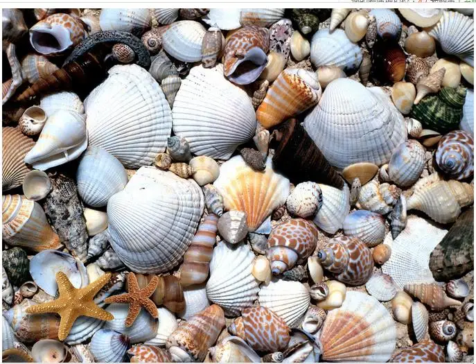 

Custom Photo Floor 3D Wallpaper 3D Floor Modern Art Shells And Starfish 3D Floor Tiles Self-adhesive PVC Wallpaper 3D Floor